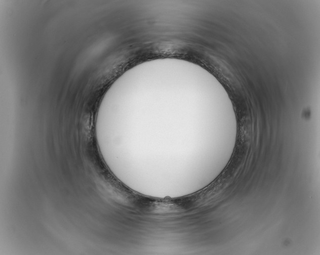 X0000089850605200707262109