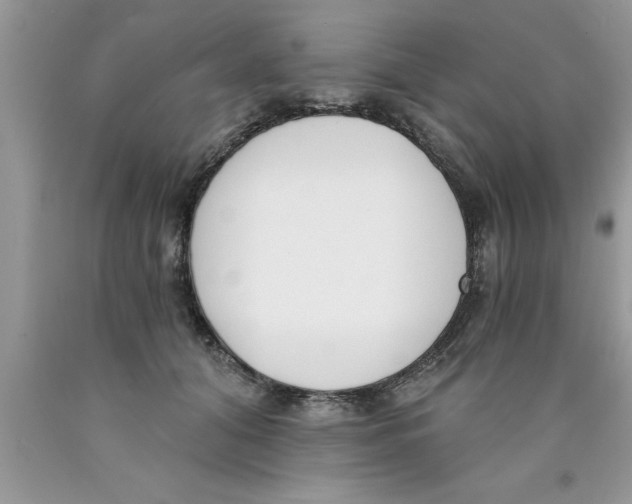 X0000089850608200707262109