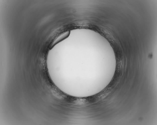 X0000089850609200707262109