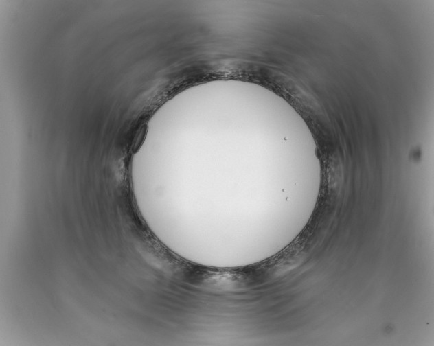 X0000089850611200707262109