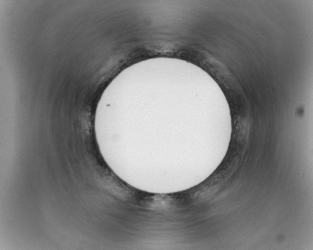 X0000089850612200707262109