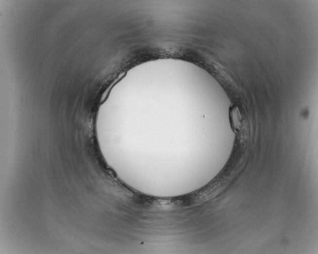 X0000089850613200707262109