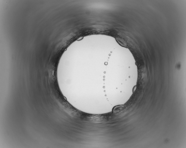 X0000089850615200707262109