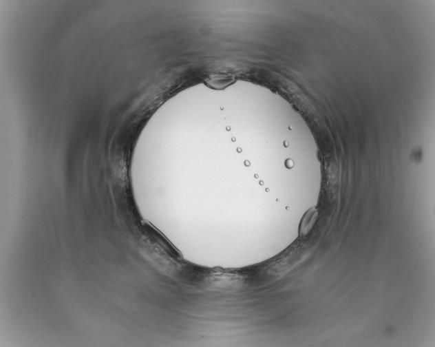 X0000089850617200707262109