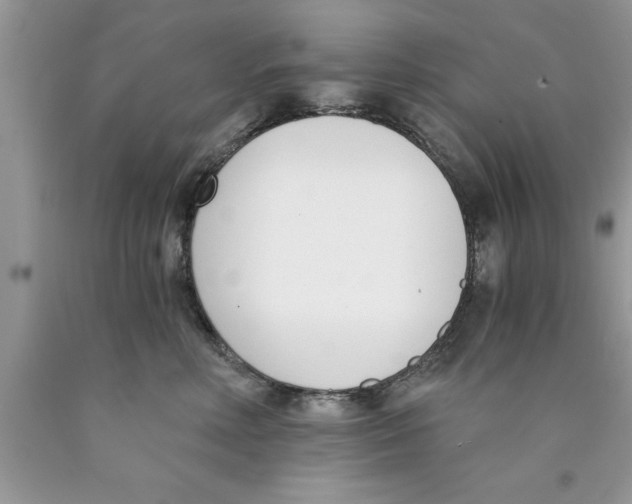 X0000089850618200707262109