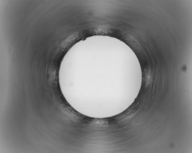 X0000089850619200707262109