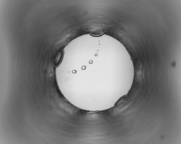 X0000089850620200707262109