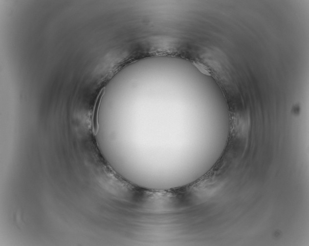 X0000089850621200707262109