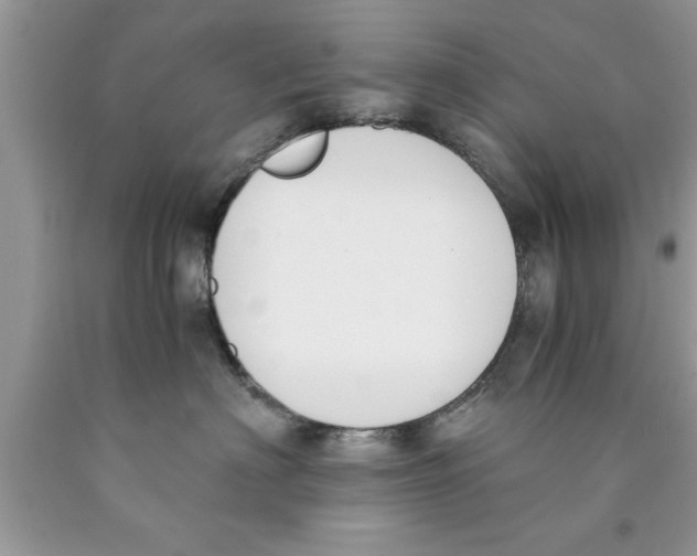 X0000089850622200707262109