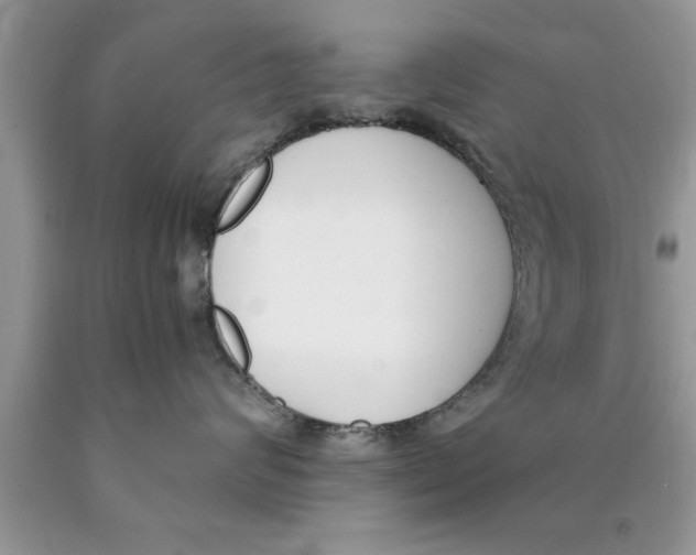 X0000089850624200707262109