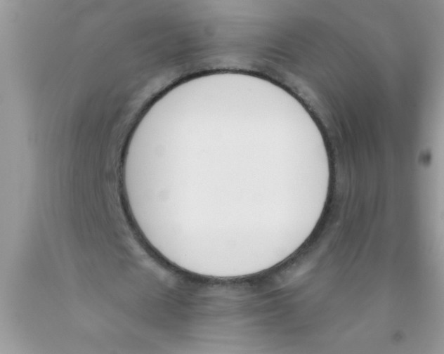 X0000089850625200707262108