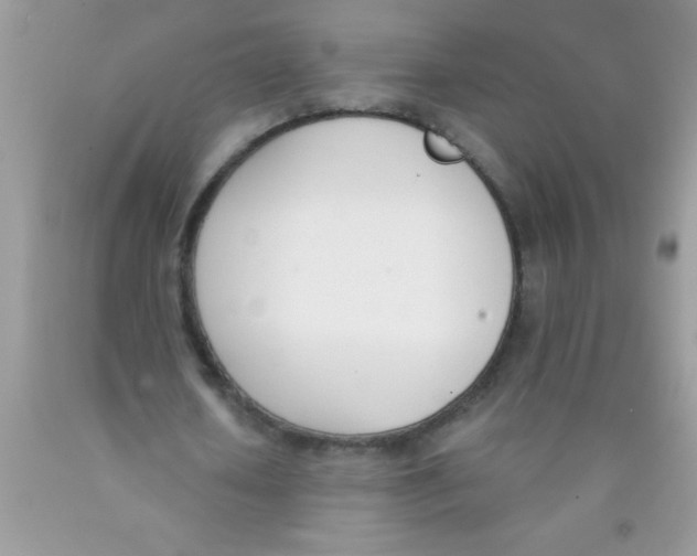 X0000089850626200707262108