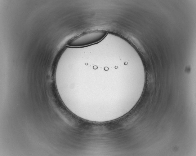 X0000089850628200707262108