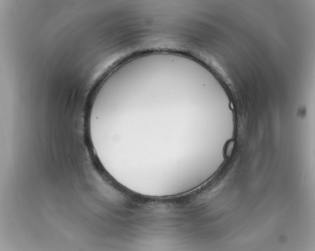 X0000089850629200707262108