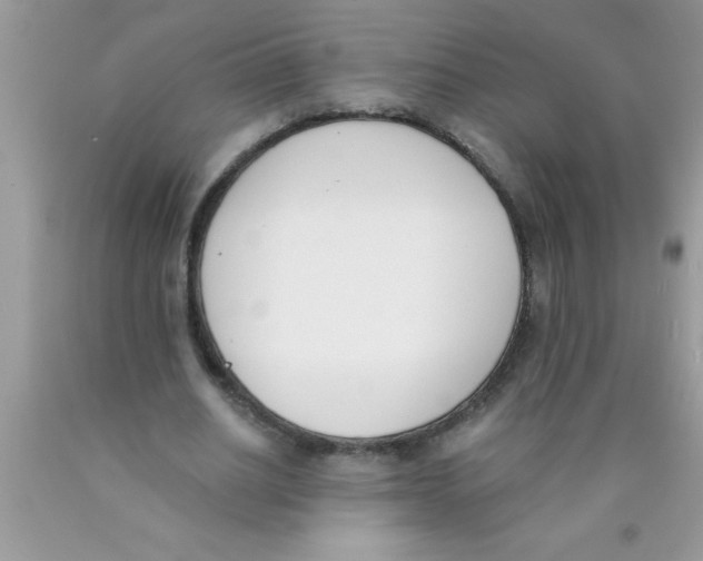 X0000089850630200707262108