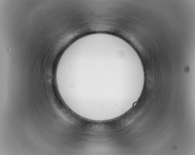 X0000089850631200707262108