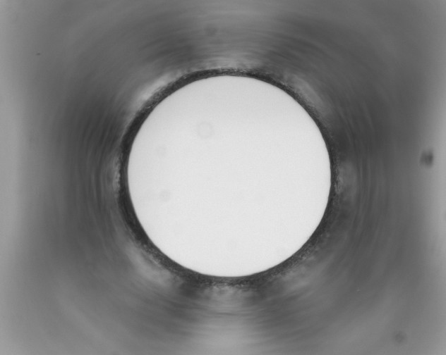 X0000089850632200707262108