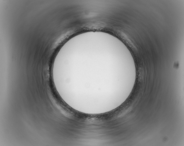 X0000089850634200707262108