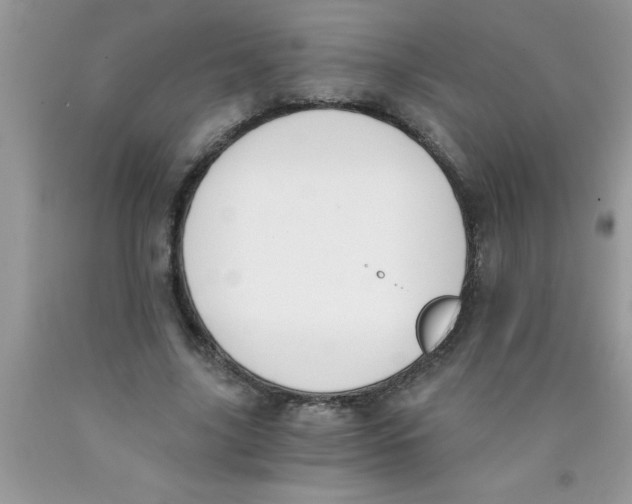 X0000089850635200707262108