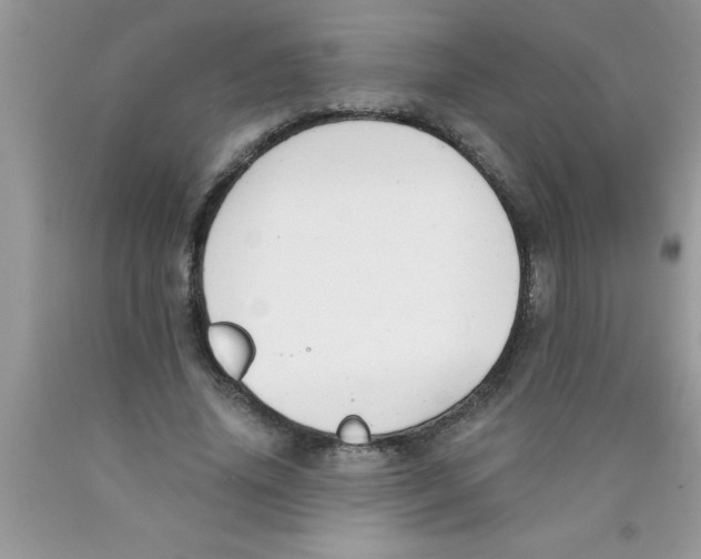 X0000089850636200707262108