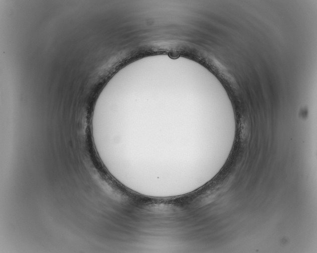 X0000089850637200707262108