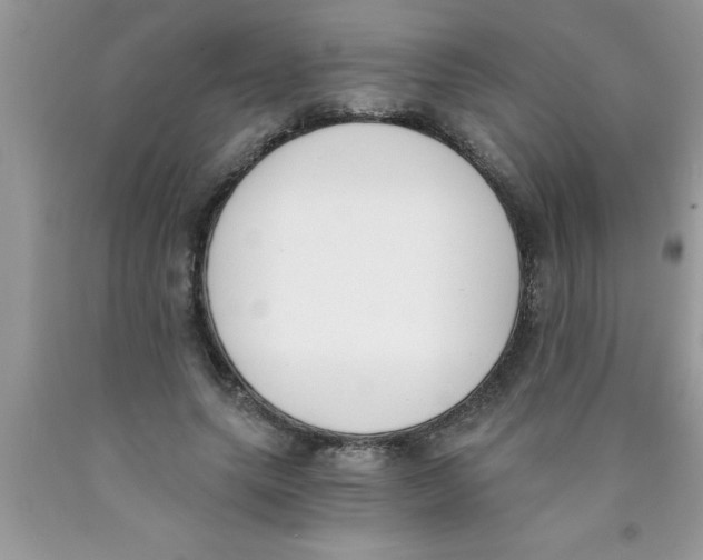 X0000089850639200707262108