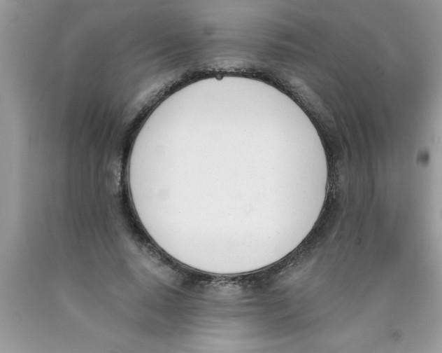 X0000089850640200707262108