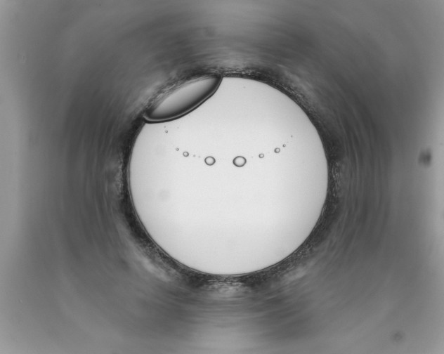 X0000089850642200707262108