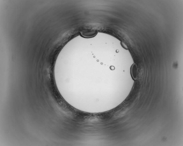 X0000089850643200707262108