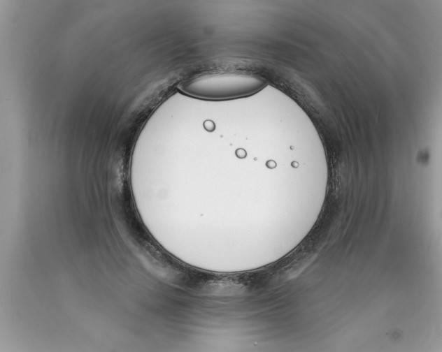 X0000089850644200707262108