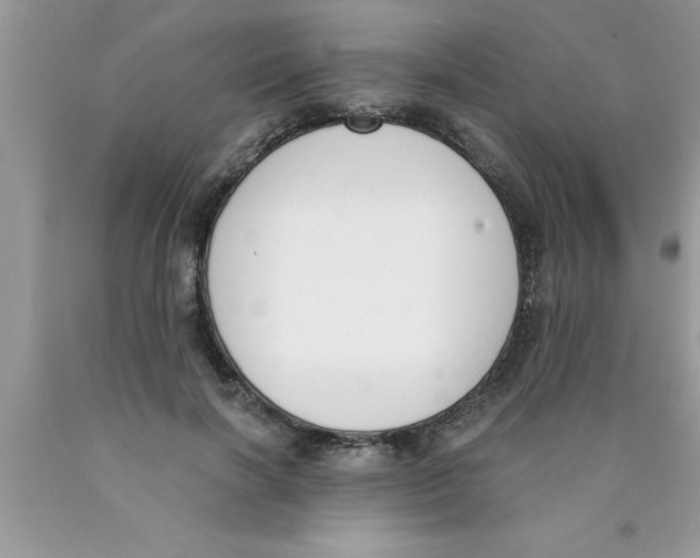 X0000089850646200707262108