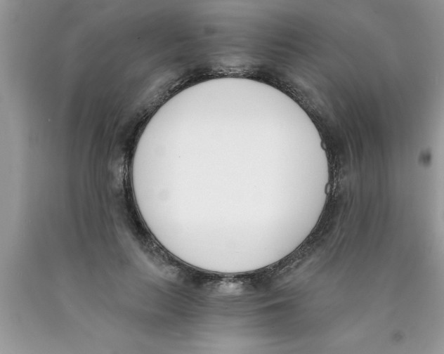 X0000089850647200707262108