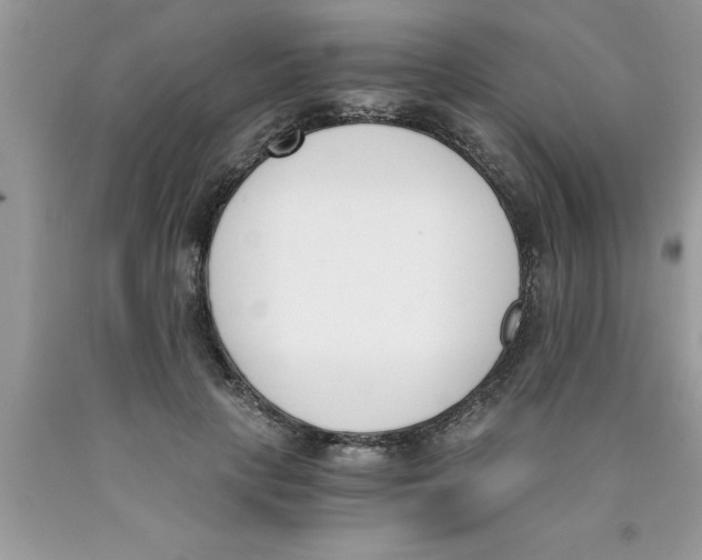 X0000089850649200707262108