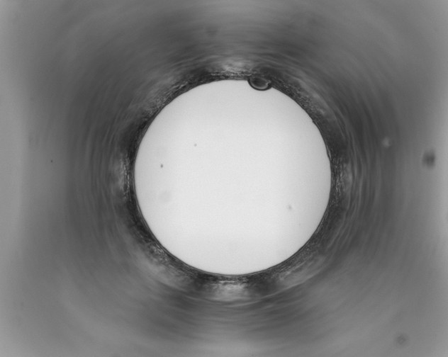 X0000089850651200707262108