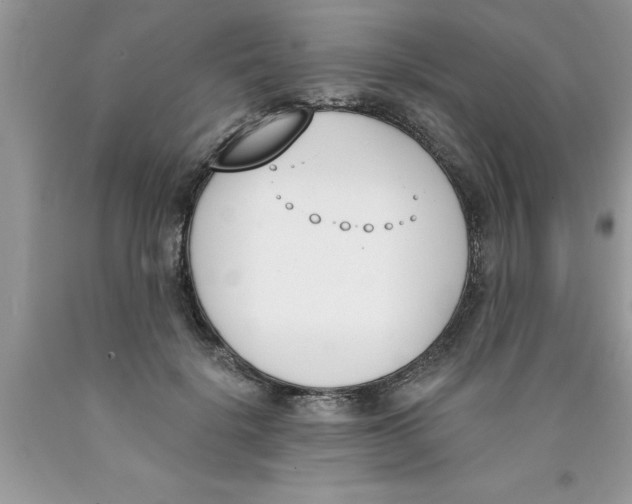 X0000089850652200707262108