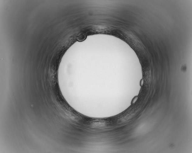 X0000089850653200707262108