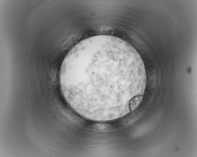 X0000089850654200707262108