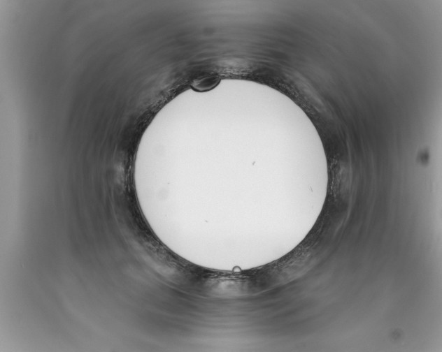 X0000089850655200707262109