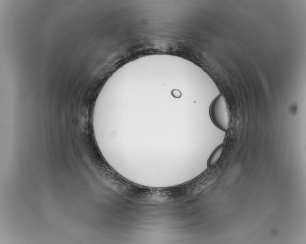 X0000089850656200707262109