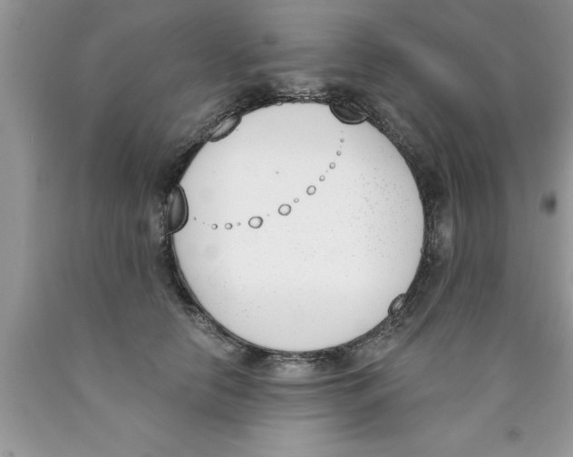 X0000089850658200707262109