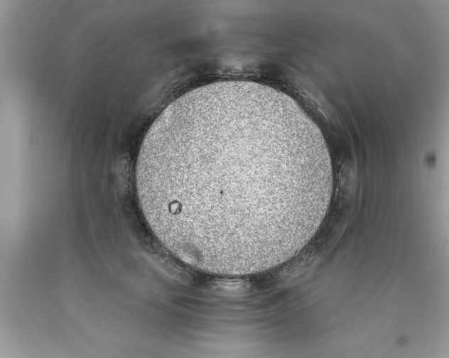 X0000089850659200707262109