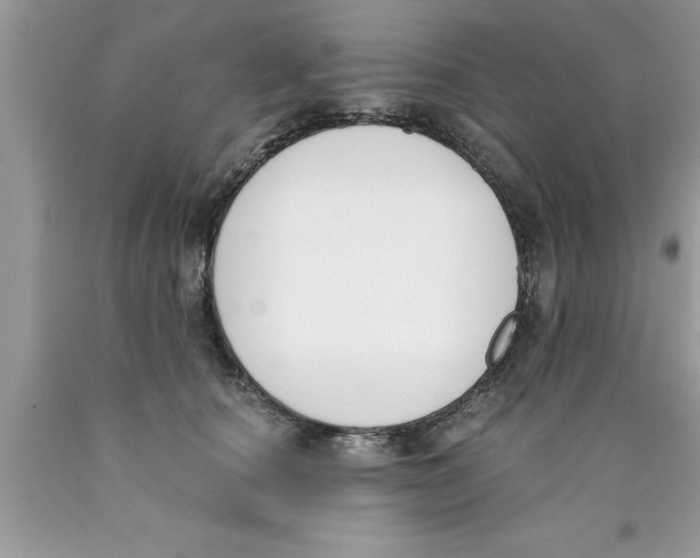 X0000089850660200707262109