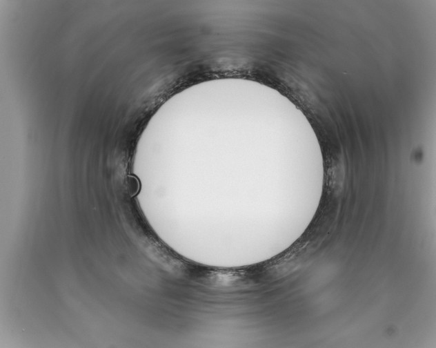 X0000089850662200707262109