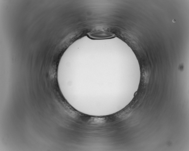 X0000089850665200707262109