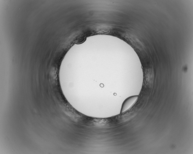 X0000089850667200707262109