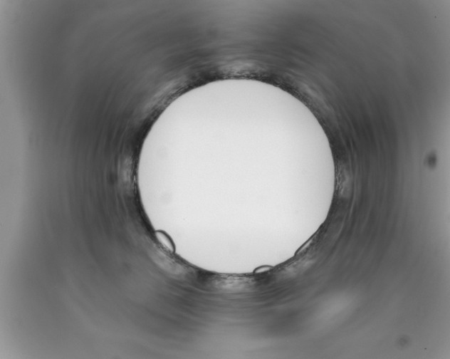 X0000089850670200707262109