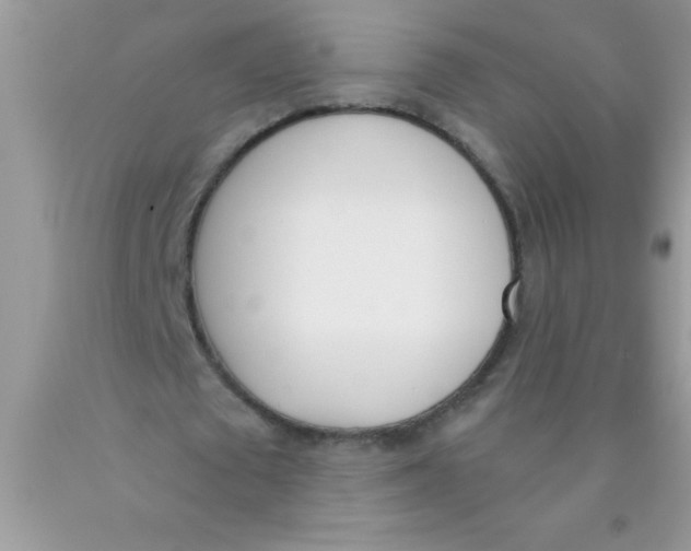 X0000089850673200707262108