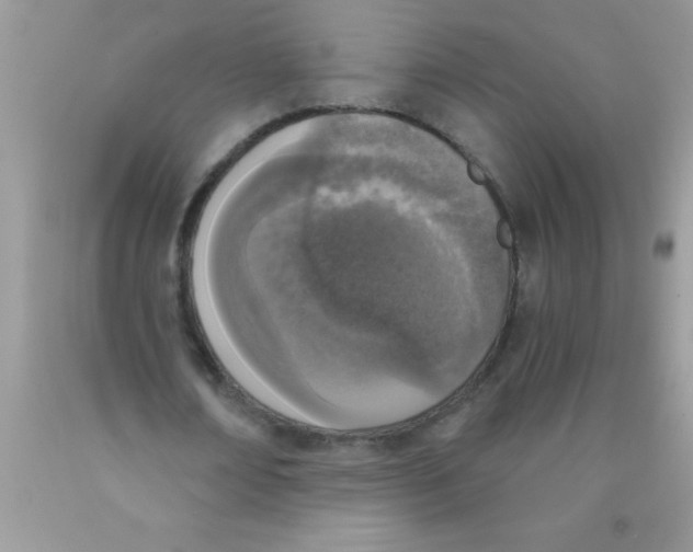 X0000089850674200707262108