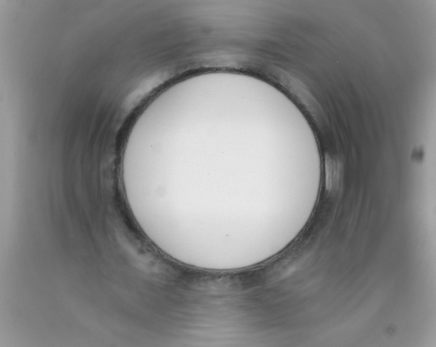 X0000089850675200707262108