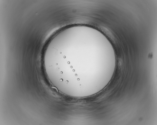 X0000089850676200707262108